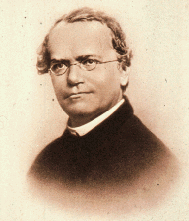 Johann Gregor Mendel